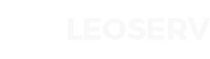Leoserv Inc.